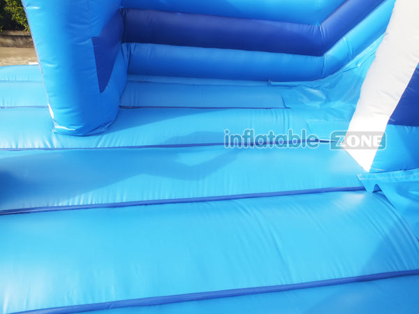 Dolphin Double Lane Inflatable Water Slide Giant Inflatable Mega Sea World Slide Best Outdoor Waterslide For Backyard