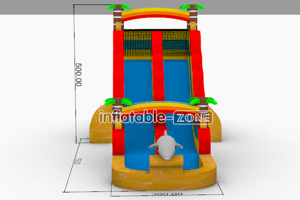 Inflatable-Zone Design Tropical Waterslide Dolphin Inflatable Double Water Slide With Splash Pool