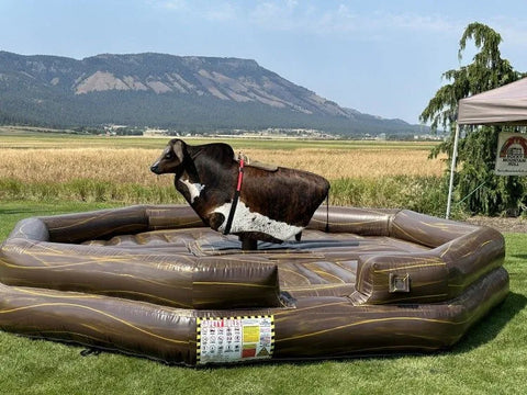 Inflatable Bull Mechanical Bull Cost Bull Ride Machine Near Me