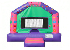 Indoor Playground Funny Inflatable Jumping Castle , Entertainment Children&#039;S Bounce House