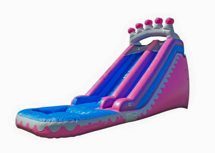 Commercial Grade 0.55mm Backyard Kids Inflatable Water Slide With Attached Pool